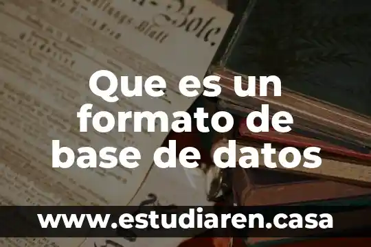 Que es if en base de datos 7 Que es un formato de base de datos