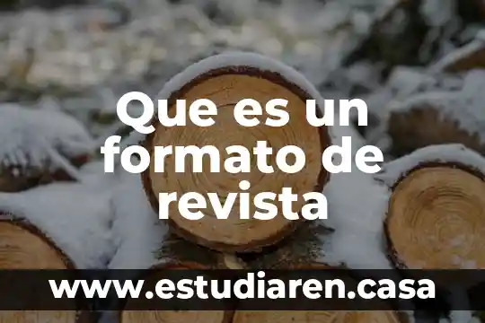 Que es un formato de revista