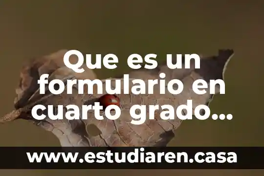 Que es un formulario en cuarto grado de primaria