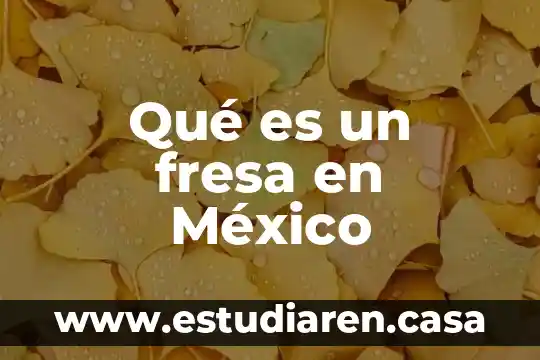Que es un fresa yahoo 8 Qué es un fresa en México