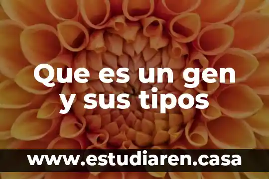 Que es un gen y sus tipos