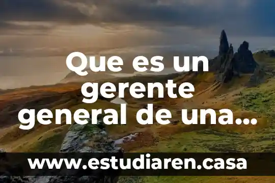 Que es un gerente general de una empresa scielo