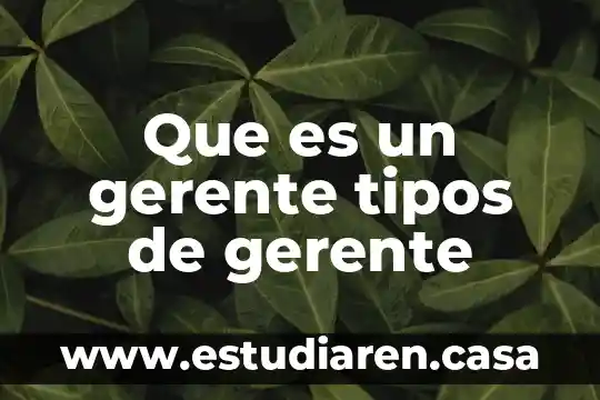 Que es un gerente tipos de gerente