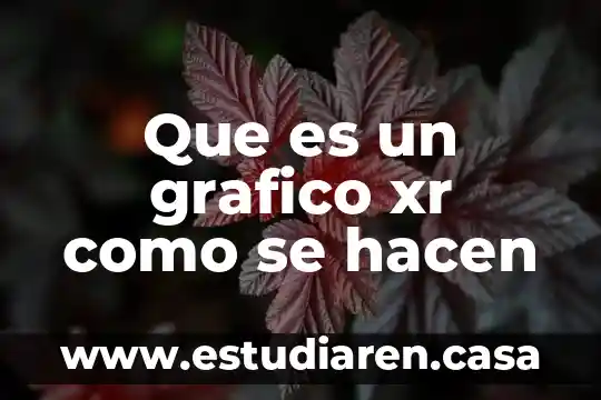 Que es xilografía en diseño gráfico 6 Que es un grafico xr como se hacen