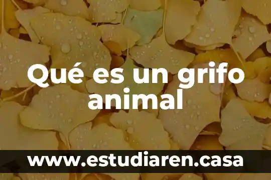 Qué es un grifo animal