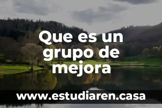 Que es un grupo de mejora