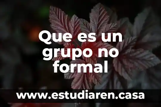 Que es una grafica de dipercion xy 4 Que es un grupo no formal