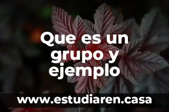 Grupo de autoayuda que es 7 Que es un grupo y ejemplo