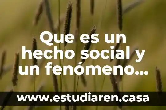 Que es un fenomeno fisico natural 8 Que es un hecho social y un fenómeno social