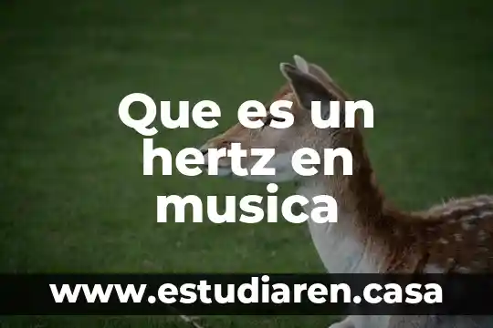 Qué es la música popular exponentes 3 Que es un hertz en musica
