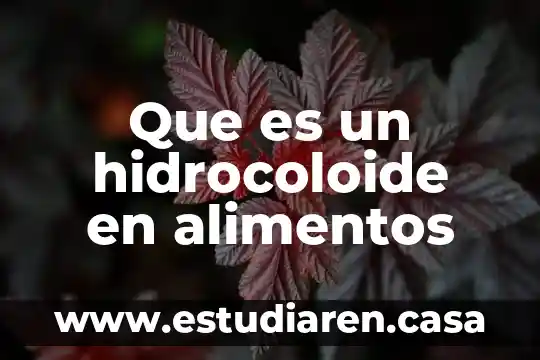 Qué es un antibiótico en alimentos tienen 3 Que es un hidrocoloide en alimentos