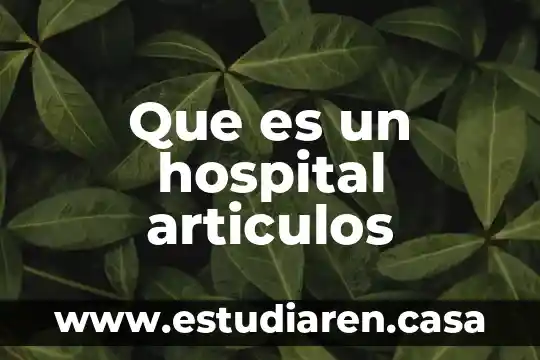 Que es algunos articulos 3 Que es un hospital articulos