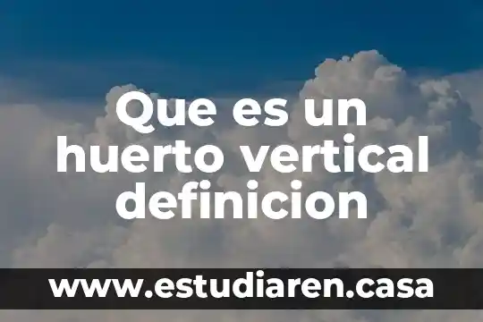 Que es analisis vertical ejemplo 4 Que es un huerto vertical definicion