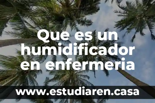 Que es un sistemas de modelos de organizacion en enfermeria 6 Que es un humidificador en enfermeria