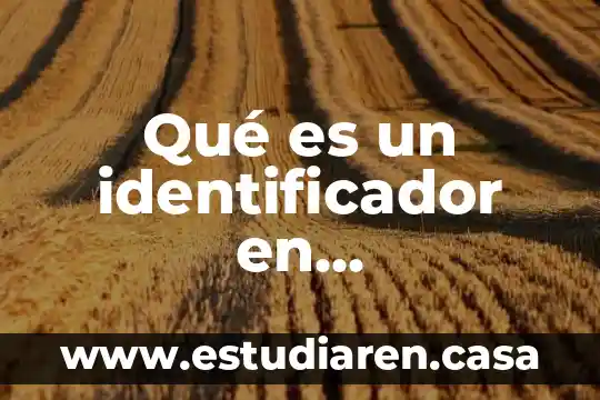 Que es el reemplazo con programacion dinamica 3 Qué es un identificador en programación