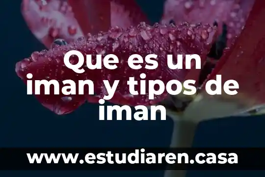 Que es un iman y tipos de iman