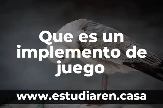 Que es el juego limpio y sus fundamentos 7 Que es un implemento de juego