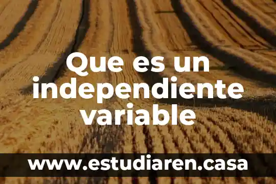 Que es un independiente variable