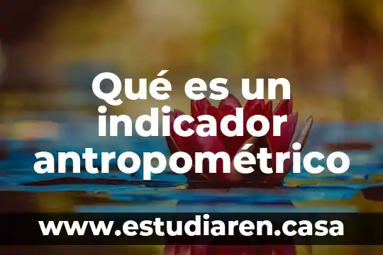 Que es el indicador ema 4 Qué es un indicador antropométrico