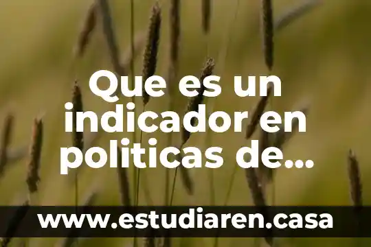 Que es la logica evaluativa de politicas publicas 8 Que es un indicador en politicas de seguridad