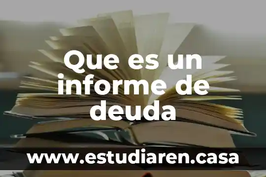 Que es un informe de deuda