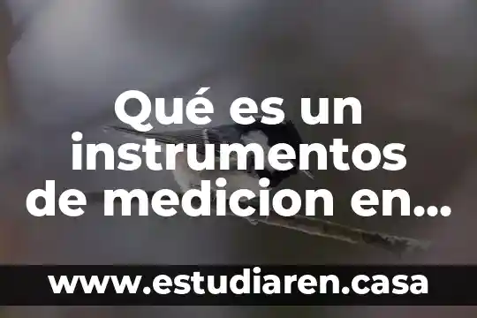 Qué es un instrumentos de medicion en psicologica ejemplos