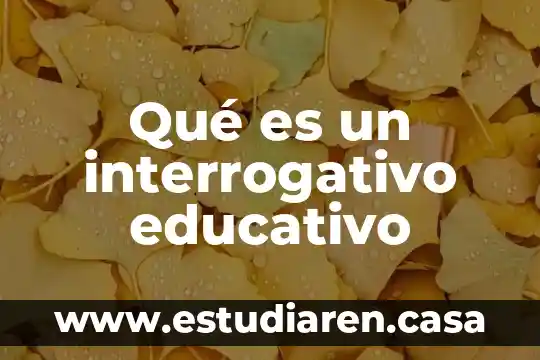 Qué es un circuito educativo en preescolar 3 Qué es un interrogativo educativo