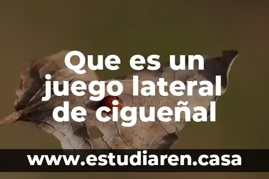 Que es un juego lateral de cigueñal 16 Que es un juego lateral de cigueñal