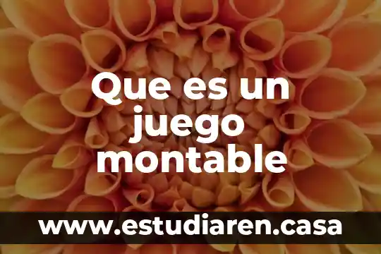 Qué es un gm juego online 8 Que es un juego montable
