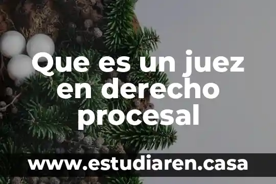 Derecho procesal civil que es la demanda 7 Que es un juez en derecho procesal