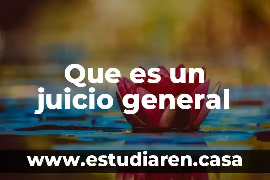 Que es un juicio general
