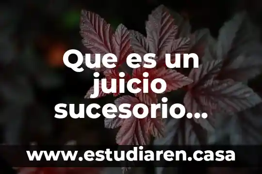 Que es el intelectual segun la pirámide de maslow 8 Que es un juicio sucesorio intestamentario según autores mexicanos
