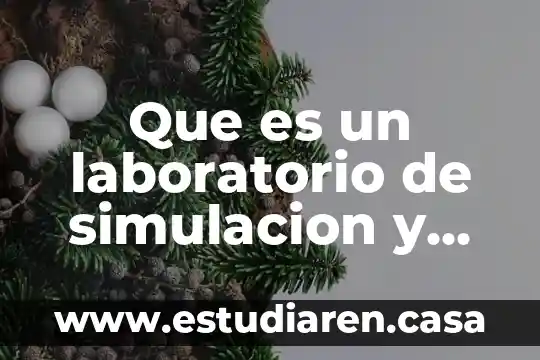 Que es un laboratorio de simulacion y que hace