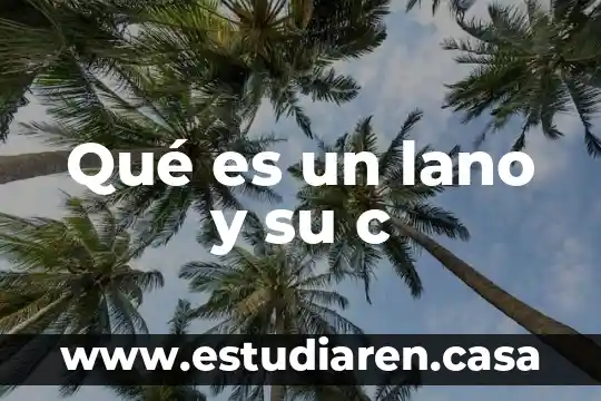 Que es el gdicharset en c 5 Qué es un lano y su c