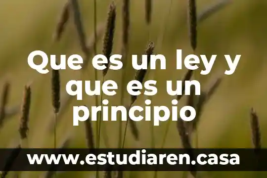 Qué es un principio en enfermeria 8 Que es un ley y que es un principio