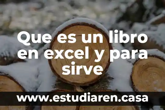 Que es un libro en excel y para sirve