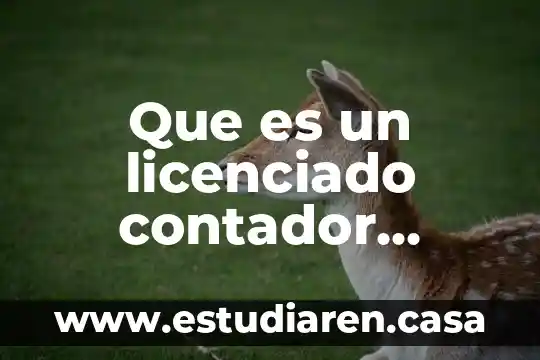 Que es un licenciado contador publico