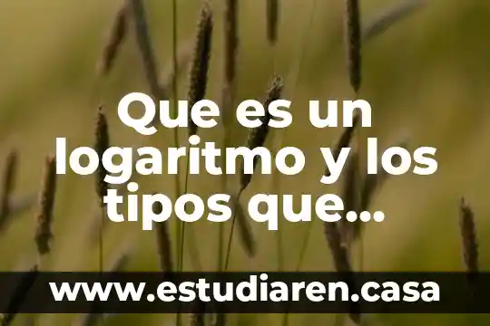 Que es un logaritmo y los tipos que existen