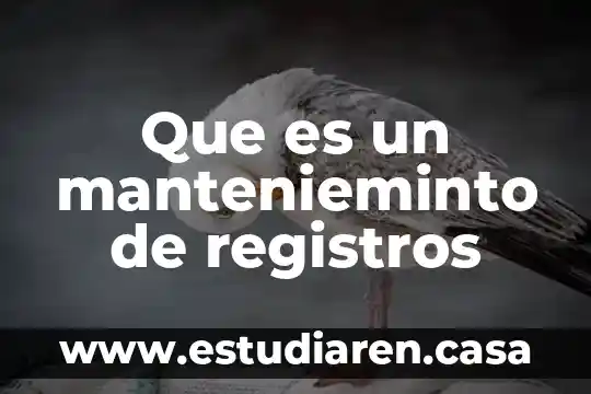 Que es la memoria de registros 3 Que es un mantenieminto de registros