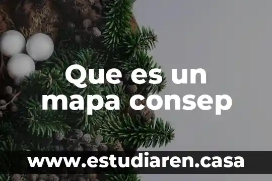 Que es via de desarrollo 7 Que es un mapa consep