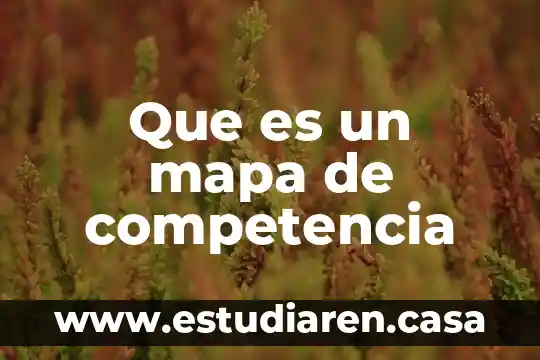Que es un mapa de competencia