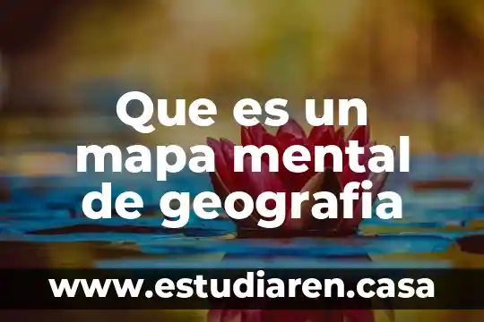 Que es un mapa mental de geografia