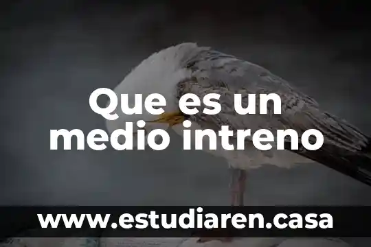 Que es lo que protege el medio 4 Que es un medio intreno