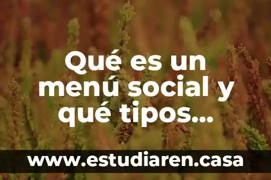 Qué es un menú social y qué tipos existen