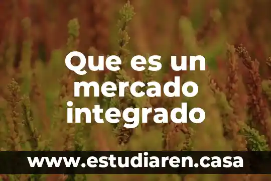 Que es un doctorado integrado 7 Que es un mercado integrado