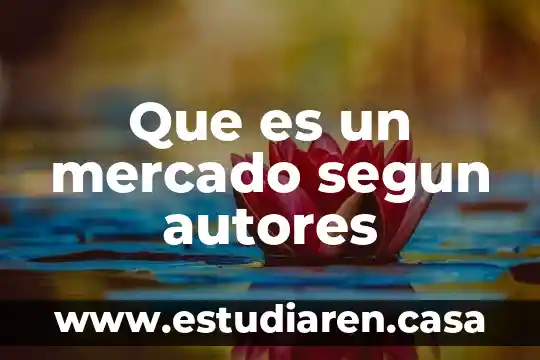 Que es un mercado segun autores