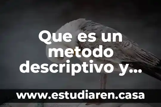 Que es valor predictivo positivo 3 Que es un metodo descriptivo y predictivo