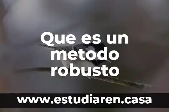 Que es un metodo robusto