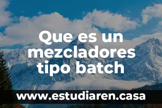 Que es un mezcladores tipo batch