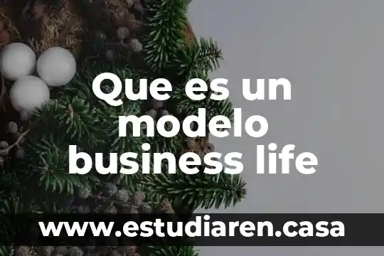 E business que es y para que sirve 6 Que es un modelo business life
